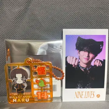 초특급 REAL? 플라스틱 모델풍 키링 미니 사진 하루