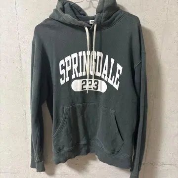 Champion SPRINGDALE 후드 부착 후드티 그린