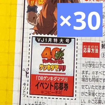 드래곤볼 원기옥 축제 이벤트 응모권 30장 DRAGON BALL