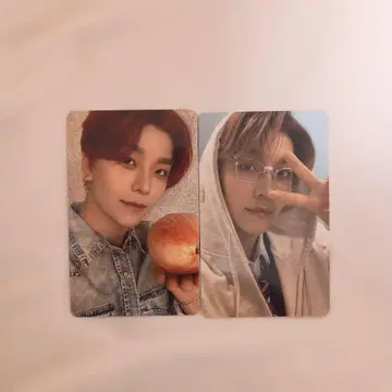 ALD1 신롱 트레이딩 카드 보이플라