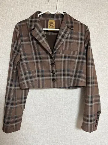 [폴과 길에서 우연히 마주치다] 크롭 체크 자켓 TNEWTIES