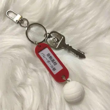 하이큐!! 트레이딩 고교명 포함 열쇠 참 키링 네코마 고교