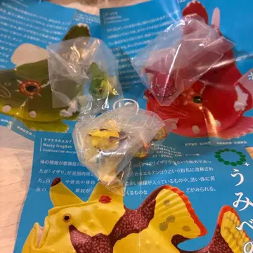 바닷가 생물 마그넷 & 볼체인 2 3종 세트