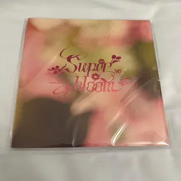 앙스타 스타포니 팜플렛