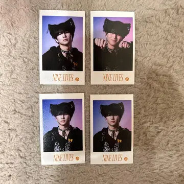 초특급 NINE LIVES 하루 미니 사진 4장 세트