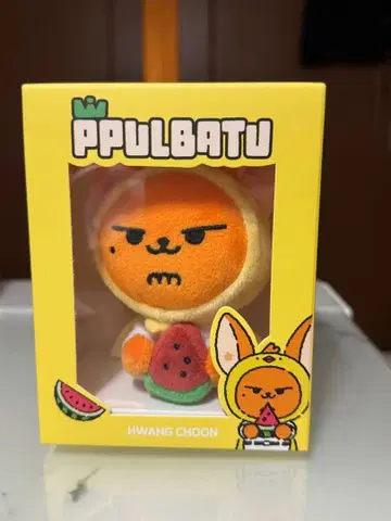 ppulbatu 팬 수박 summer together