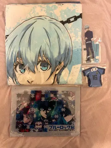 효리 요 에고 전시회