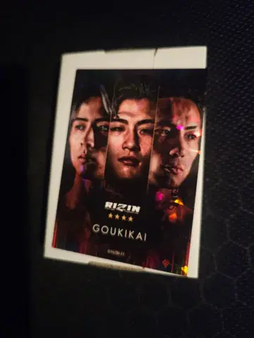RIZIN GOUKIKAI 리얼 카드