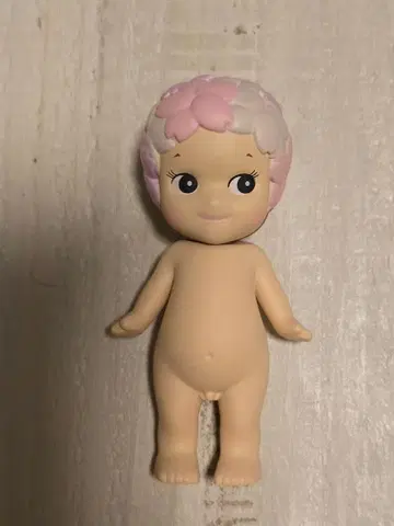 소니 엔젤 벚꽃