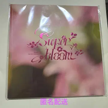 앙스타 스타포니 별책 팜플렛