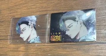 비바 렌 화승풍영 XlamV 클리어 카드 레온