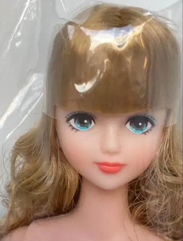 오타노시미 인형 시온 리카짱 캐슬