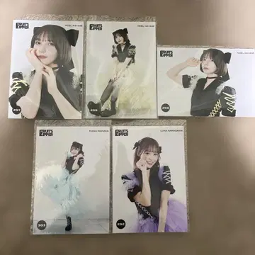 Fruits Zipper 아이돌 사진 5장 세트