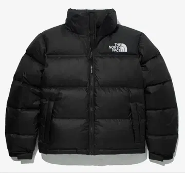 더 노스페이스 다운