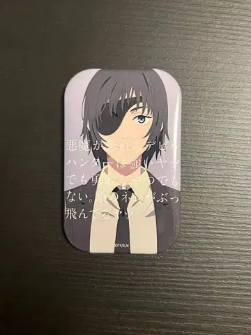 체인소 맨 공안 데빌 헌터 모집 캔뱃지 히메노