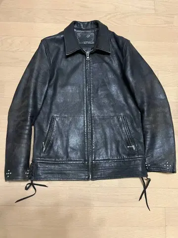 카네코 노부아키 로트 와일러