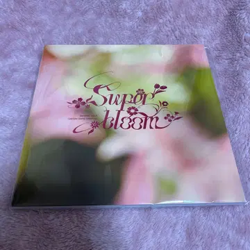 앙상블 스타즈 별책 팜플렛