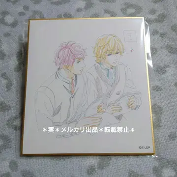 은하영웅전설 미니 색지 컬렉션 라인하르트 & 키르히아이스