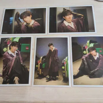 초특급 NINELIVES 브로마이드 B 료가 컴프