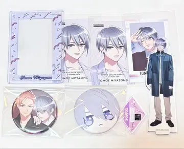 도쿄 컬러 소닉 카라소니 미야조노 토모에 아크릴 스탠드 캔뱃지