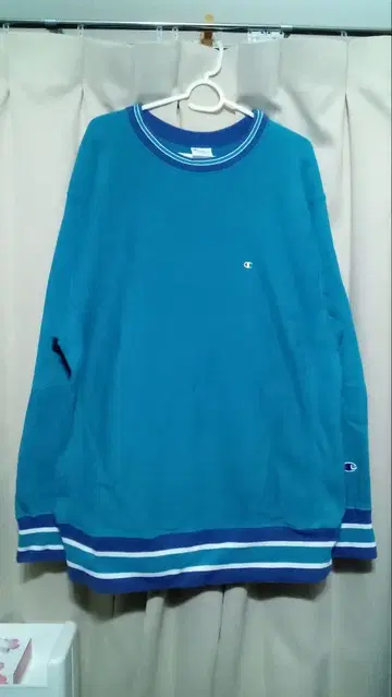 Champion 리버스 위브 맨투맨