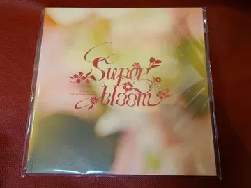 스타포니 혜택 팜플렛