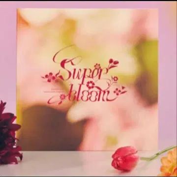 앙스타 스타포니 특전 팜플렛