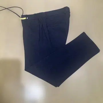 자브스 알키비오 저지 마사초 48