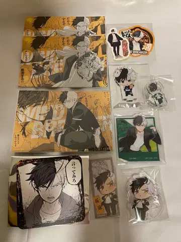 WIND BREAKER 사쿠라 하루카 세트