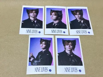 초특급 NINE LIVES 카이 군 컴프 세트