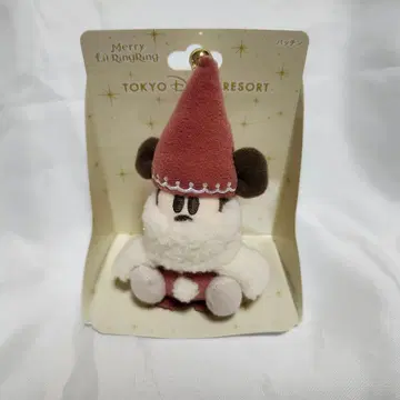 도쿄 디즈니 리조트 릴린린 패친 2025