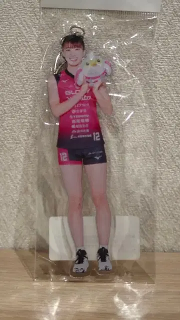 빅토리나 히메지 노나카 루이 BIG 아크릴 키링