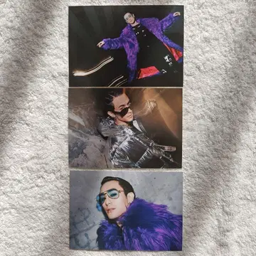 뇌태 [ R ] 브로마이드 SSH 1