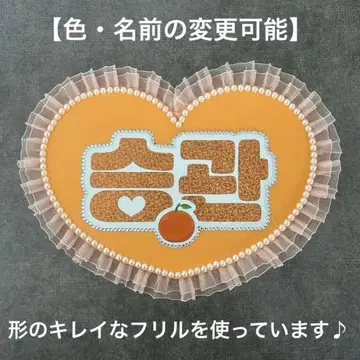 네임보드 SEVENTEEN 세븐틴 캐럿 승관 네임보