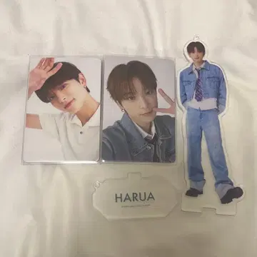 &TEAM 하루아 트레이딩 카드 아크릴 스탠드