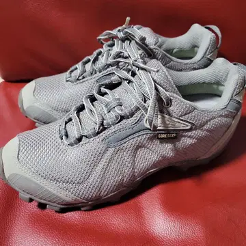 THE NORTH FACE GORE-TEX 아웃도어 신발