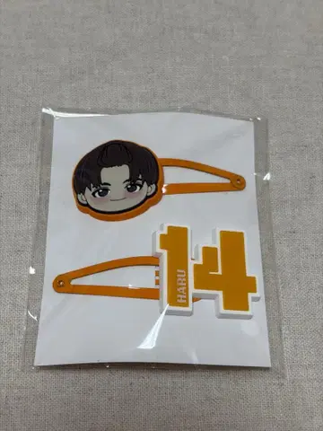 초특급 REAL? 헤어 클립 하루 익명 배송