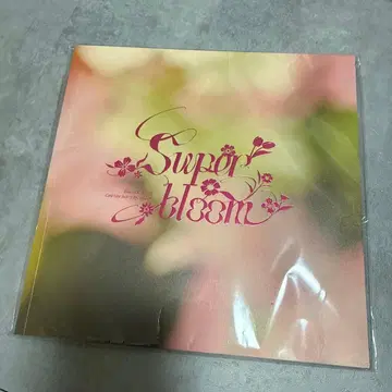 스타포니 혜택 팜플렛