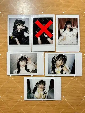 후쿠마루 우사 란 폴라로이드 세트