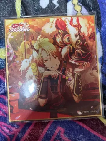 프로세카 미니 색지 특훈 후