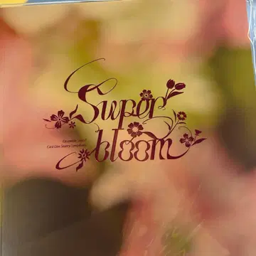 Starry Symphony 4th 입장 특전 팜플렛 스타포니