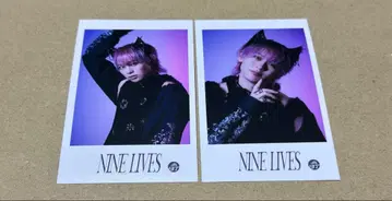 초특급 NINE LIVES 슈야