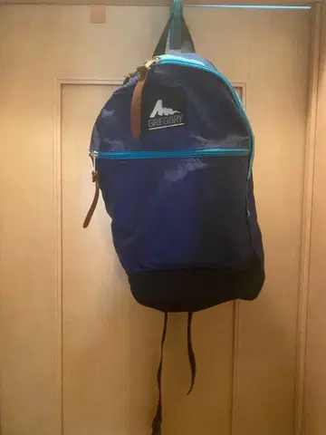 GREGORY 네이비 백팩