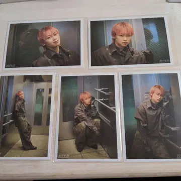 초특급 NINE LIVES 브로마이드 B 슈야 컴프