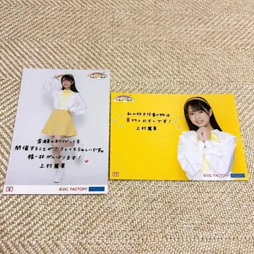 [ 우에무라 레이나 2종 ] 로지 크로니클 ~미래의 시작~ 코레샤