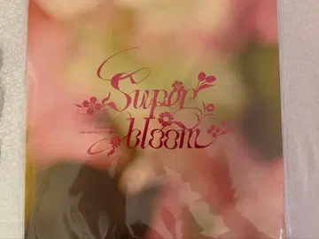 스타포니 4th 팜플렛