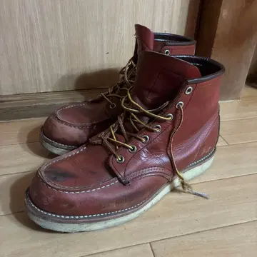 레드윙 아이리쉬 세터 26.5