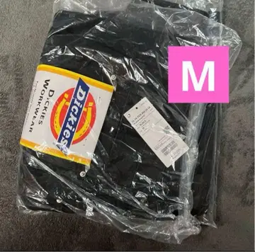 FUTURE ARCHIVE DICKIES W-KNEE WK BLACK M