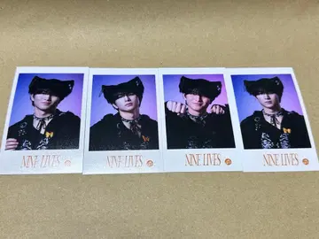 초특급 NINE LIVES 하루