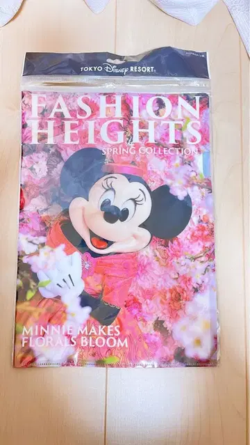 실사 굿즈 미니스타 봄옷 여름옷 미니 클리어 파일